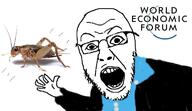 arm bald clothes cockroach glasses hand klaus_schwab roach soyjak stubble suit variant:yurjak world_economic_forum // 768x442 // 60.0KB