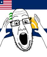 arm county flag flag:liberia flag:rivercess_county glasses hair hand liberia liberian open_mouth people's_populist_press plant rivercess_county soyjak star_(symbol) stubble sun teeth tree variant:ppp // 1000x1233 // 49.6KB