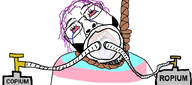 1soyjaks ack ack! copium flag:transgender_pride_flag glasses hanging looking_up moustache mustache oxygen_cylinder oxygen_mask purple_hair rope roping ropium stubble suicide text tranny troon tube variant:bernd white_background white_skin // 1619x719 // 684.0KB