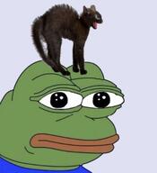 amphibian animal black_fur cat closed_mouth clothes feline frog green_skin hat looking_to_the_left meta:not_oc nas:pepe open_eyes open_mouth pepe_the_frog red_lips scared screaming // 931x1024 // 55.5KB