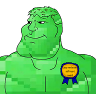 award emerald emerald_(namefag) green_hair green_skin looking_to_the_left meta:namefags meta:op_took_a_selfie_of_xerself meta:wow_look_i_self-inserted_as_mexiaryan_look_how_smart_funny_and_original_i_am smile subvariant:mexiaryan text variant:meximutt // 790x775 // 286.6KB