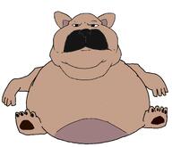 dog french_bulldog pibble puppy subvariant:meximutt_front2 variant:meximutt // 2430x2091 // 253.3KB