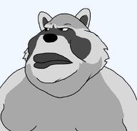 angry animal fur raccoon series:animaljaks variant:meximutt // 888x849 // 18.0KB