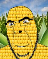 cloud corn cornson food foodjak glasses irl_background looking_to_the_left plant pun sky smile soyjak stubble teeth variant:cobson yellow_skin // 677x831 // 1.1MB