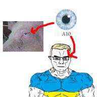 a10_eyes arrow blue_eyes glasses pig subvariant:muscular_chud ukraine ukrainian_flag ukraryan variant:chudjak // 3000x3000 // 3.5MB