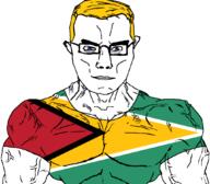 arm blond blue_eyes buff closed_mouth clothes country countrywar flag flag:guyana glasses guyana hair soyjak subvariant:chudjak_front subvariant:muscular_chud tshirt variant:chudjak vein // 1059x929 // 93.8KB