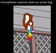 animal arm background closed_mouth ear fence full_body glasses hand holding_object leg lgbt pride_flag screenshot smile soyjak squirrel subvariant:feralsquirrel tail text variant:chudjak // 1000x956 // 167.8KB