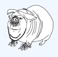 animal ear full_body guinea_pig poog series:animaljaks smile soyjak stubble variant:gapejak // 947x918 // 26.5KB