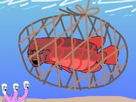 4soyjaks bloodshot_eyes coral crying fish full_body glasses net open_mouth soyjak stubble underwater variant:soyak water // 800x600 // 63.9KB