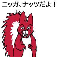 angry animal clenched_teeth closed_mouth japanese_text redraw soyjak squirrel stubble subvariant:feralsquirrel variant:feraljak // 400x400 // 17.9KB