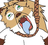 ack arm averi blue_tongue ear green_eyes hanging open_mouth rope soyjak subvariant:trannyfur variant:bernd // 760x704 // 58.3KB