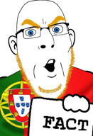 artificial_intelligence aryan blond blue_eyes fact flag:portugal meta:ai_generated portugal series:countryaryan_gem! turkiye variant:cobson video // 492x720, 8s // 2.1MB