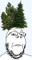 angry clothes frown glasses hair hat pine plant soyjak stubble tree variant:gapejak // 730x1372 // 630.7KB