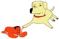 2soyjaks animal brown_eyes collar dog ear full_body hair labrador_retriever lobster orange_skin paw pincer series:animaljaks smile subvariant:nucob tail variant:chudjak variant:cobson // 860x575 // 63.1KB