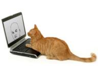 animal cat computer irl irl_background laptop meta:tagme variant:hercules // 400x300 // 78.9KB