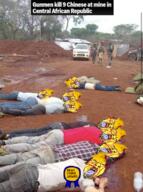 africa award beard blood central_african_republic dead gore hard_hat meta:gore mustache open_mouth soyjak stubble teeth text tongue yellow_skin yellow_teeth // 506x680 // 585.6KB