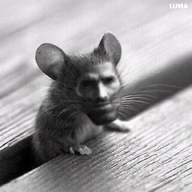 animal greyscale meta:not_oc mouse nas:gigachad subnas:gigamouse // 600x600 // 14.8MB
