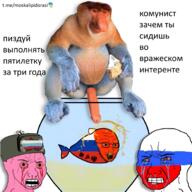 monkey russia russian_flag russo_ukrainian_war ukraine z_(russian_symbol) // 2000x2000 // 2.6MB