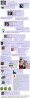 4chan bloodshot_eyes crying frog g_(4chan) glasses large_eyebrows onion open_mouth pepe screenshot soyjak stretched_mouth stubble technology variant:soyak // 1500x4914 // 1005.0KB