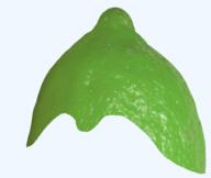 accessory asset lime lime_(user) meta:nas nas not_a_FUCKING_SOYJAK template // 552x467 // 169.6KB