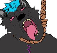 bluefolf edgyfox99 furfag furry rope shreds shreds_the_wolf subvariant:trannyfur tranny variant:bernd ywnbaw // 760x704 // 19.5KB