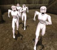 3d_model chasing the_elder_scrolls the_elder_scrolls_iii:_morrowind variant:el_perro_rabioso variant:feraljak variant:nojak variant:tony_soprano_soyjak video_game // 1092x958 // 1.3MB