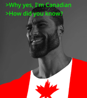 arrow beard buff canada chad clothes ear gigachad greentext grey_skin greyscale hair irl lips looking_to_the_left nas:gigachad smile text tshirt // 1242x1394 // 454.7KB