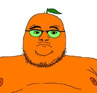 admin beast fat food front_facing froot frown fruit fruity juicy orange rolls variant:fatty // 888x849 // 11.5KB