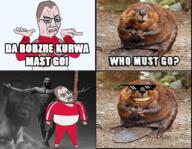 beaver fur gigachad glasses kurwa plambing pointing poland rope smile tear variant:bernd variant:chudjak // 643x500 // 508.5KB