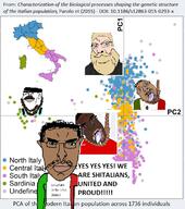 africa aryan beard black_skin brown_skin genetics italy mustache mutt pca rope sardinia subvariant:wholesome_soyjak text variant:bernd variant:chudjak variant:cobson variant:gapejak variant:impish_soyak_ears white_skin // 605x684 // 162.8KB