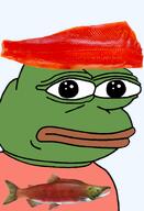 amphibian animal bald blue_background closed_mouth clothes food frog green_skin irl lips looking_at_you nas nas:pepe pepe_the_frog salmon series:pepe_hat sockeye_salmon tshirt // 1008x1479 // 837.4KB amphibian animal bald blue_background closed_mouth clothes food frog green_skin irl lips looking_at_you nas nas:pepe pepe_the_frog salmon series:pepe_hat sockeye_salmon tshirt // 1008x1479 // 837.4KB