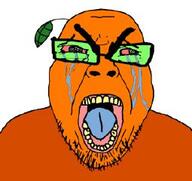 food froot fruit meta:tagme orange orange_(fruit) orange_skin stubble subvariant:seethejak variant:bernd // 255x240 // 12.0KB