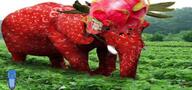2soyjaks animal bald blue_skin bush calm dragonfruit elephant food fruit glasses incomprehensible incomprehensible_woahjack lazy nature outdoors outside plant sky strawberry strawberry_elephant stretched_chin stubble tree tusk variant:gapejak variant:markiplier_soyjak // 693x324 // 175.8KB