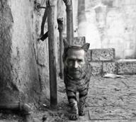 animal cat feline giga grey_background grey_skin nas nas:gigachad subnas:gigacat subnas:old_gigachad