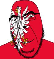 animal bird country eagle flag flag:masovian full_head glasses hair looking_at_you masovian open_mouth poland smile soyjak stubble teeth text variant:cobson voivodeship // 775x849 // 158.9KB