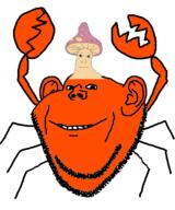 animal crab ear mushroom no_eyebrows paras pokemon shroomjak smile soyjak stubble swedecrab variant:impish_soyak_ears // 400x480 // 41.6KB