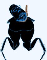 ack b_b_ghast_(namefag) bbghast bbghast_lost black_skin cockroach fat hand hanging meta:namefags roach rope series:in_loving_memory_of_namefags subvariant:scholar variant:gapejak // 552x703 // 112.3KB