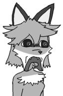 averi big_eyes black_and_white fox furfag furry meta:lock_tags_pls_jannies_keeps_getting_vandalized meta:semi_nas not_a_fucking_soyjak open_mouth shocked subvariant:doctos tounge variant:soyak // 323x487 // 5.3KB