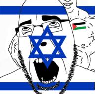 buff flag flag:israel flag:palestine gay glasses hair israel open_mouth palestine sex soyjak star_of_david stubble teeth variant:cobson // 642x636 // 141.7KB