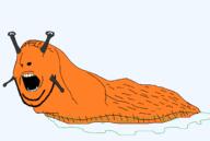 animal antenna eye_stalks full_body mollusk open_mouth orange_skin slug soyjak stubble variant:cobson // 2264x1518 // 78.1KB