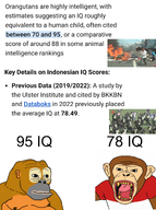 flag:indonesia indonesia iq monkey nas:wojak orangutan variant:monkeyjak // 2944x3960 // 4.9MB