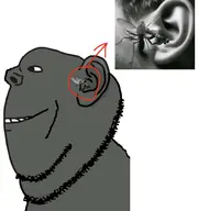 bug ear fly side_profile subvariant:neutralplier variant:impish_soyak_ears variant:markiplier_soyjak violin // 2214x2368 // 325.0KB