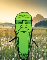 calm closed_eyes closed_mouth glasses green_skin irl_background smile spring stubble variant:markiplier_soyjak // 785x1000 // 940.5KB