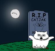 animal bald birds cat catjak dead glasses grave graveyard ias jak jump moon revival stubble variant:catjak // 1466x1354 // 154.8KB