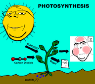 carbon_dioxide crying dirt graphic incomprehensible_woahjack meta:guide oxygen photosynthesis plant subvariant:wholesome_soyjak sugar sun useful variant:cobson variant:cryboy_soyjak variant:gapejak variant:smugjak water // 900x800 // 137.9KB