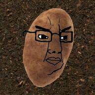 food glasses objectsoy plant potato soyjak variant:chudjak vegetable // 500x500 // 66.5KB