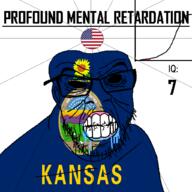 angry animal bald black_eyes black_hole black_sclera clenched_teeth closed_mouth cow cracked_teeth drool ear flag flag:kansas flag:united_states flower glasses hair horse iq iq_bell_curve kansas mustache nightmare_fuel no_pupils plant profound_mental_retardation retard ship soyjak star_(symbol) state stubble sun text united_states variant:feraljak water wrinkles // 1024x1024 // 160.8KB