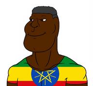 africa ethiopia ethiopian flag:ethiopia subvariant:brazilaryan subvariant:brazilmutt variant:meximutt // 1174x1080 // 229.8KB