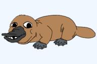 animal baby beak deformed full_body phineas_and_ferb platypus series:animaljaks smile subvariant:nathaniel tail variant:gapejak // 1200x800 // 11.3KB