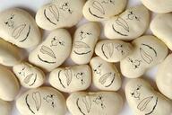 beans closed_mouth irl lima_beans multiple_soyjaks soyjak stubble variant:meximutt // 1200x800 // 1.1MB